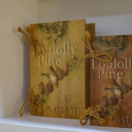 Eleana's Art Studio Appartamento *